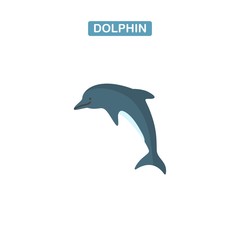 Dolphin Vector icon