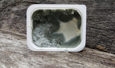 schimmeliger quark