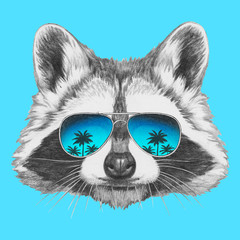 Portrait of Raccoon with sunglasses,  hand-drawn illustration
