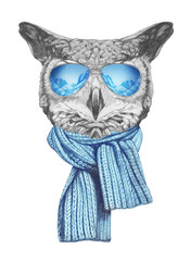 Portrait of Owl with sunglasses and scarf,  hand-drawn illustration