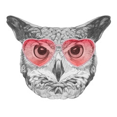 Owl in Love! Portrait of Owl with sunglasses, hand-drawn illustration