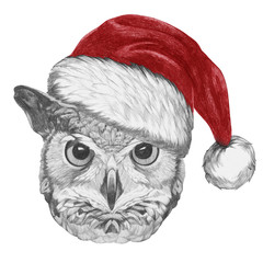 Portrait of Owl with Santa hat,  hand-drawn illustration