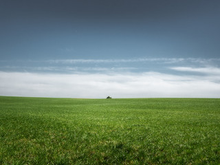 Green spring field and blue sky with clouds