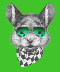 Portrait of Mouse with scarf and sunglasses, hand-drawn illustration