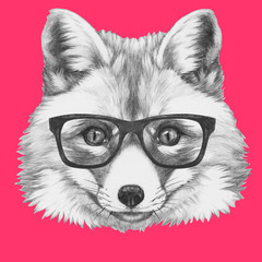 Portrait of Fox with glasses,  hand-drawn illustration