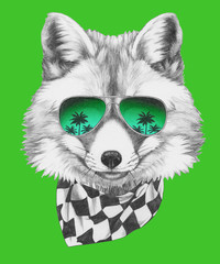 Portrait of Fox with sunglasses and scarf,  hand-drawn illustration