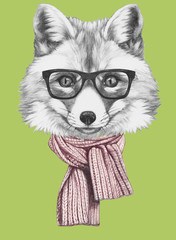 Portrait of Fox with scarf and glasses,  hand-drawn illustration