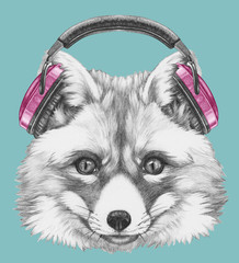 Portrait of Fox with headphones,  hand-drawn illustration