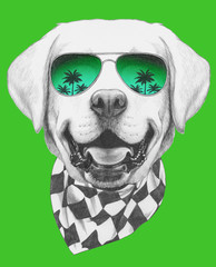 Portrait of Labrador with sunglasses, hand-drawn illustration