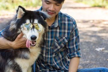 Siberian dog wear glasses in the road woods with a young man.