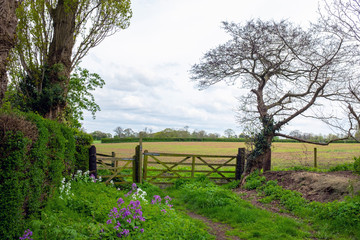 Fototapeta premium Countryside view in Cheshire England UK