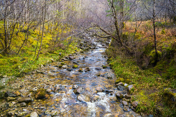 Stream draining the Beinn Eighe (Ben Eighe) Nature Reserve above Loch Maree in the Highlands of Scotland