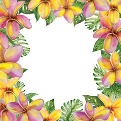 Fototapeta na wymiar Beautiful tropical floral border made of plumeria flowers and exotic leaves. Square frame with white background for a text. Watercolor painting.