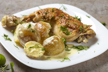 One fried chicken leg with new potatoes and sour cream sauce