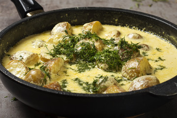 Pan with new potatoes and sour cream sauce with green dill