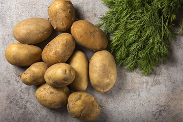 Group of new potatoes on a rustick background with fresh green dill