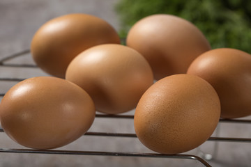 Group of fresh chicken eggs on a metallic grille with fresh green herbs in background