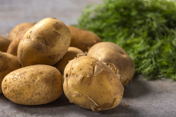 Group of new potatoes on a rustick background with fresh green dill