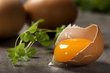 One cracked egg with yolk and fresh green oregano - obrazy, fototapety, plakaty