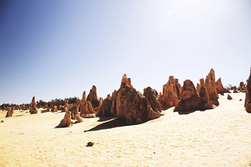 Fototapeta na wymiar The Pinnacles, Western Australia