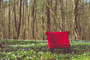 red chair in the forest