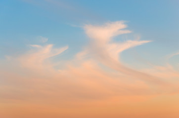 Naklejka na ściany i meble Cirrus clouds at sunset with gradient sky.