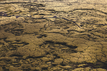Lava and moss fields, Reykjavík, Iceland
