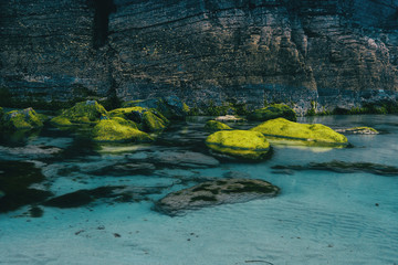 Beach with moss stones lugo, galician, spain