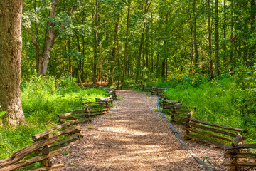 Wooded Trail Between Fences