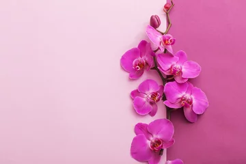 Gordijnen de prachtige orchideebloemen © Maya Kruchancova