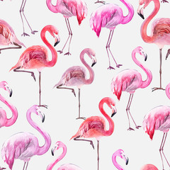 Beautiful colorful flamingo on white background. Exotic seamless pattern. Watercolor painting. Hand drawn and painted illustration. © katiko2016