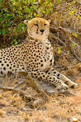 Voyage Afrique