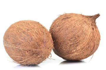 Coconut