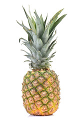 Pineapple fruit