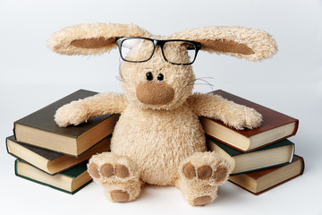 A toy rabbit in glasses sits near piles of books.