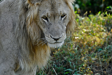 Voyage Afrique