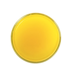 Orange juice in glass isolated on white