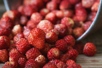 Wild strawberry (Fragaria vesca) on rustic wooden background