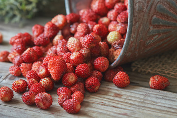 Wild strawberry (Fragaria vesca) on rustic wooden background