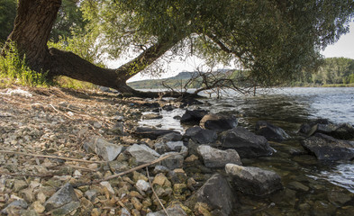 The park with umbrellas in the town of Beloslav. The park is situated on the banks of the lake near the ferry.