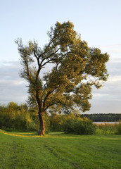 Fototapeta na wymiar Landscape near Elk. Poland
