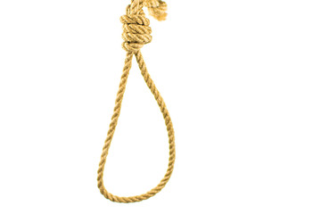 Rope for the gallows on a white background. Isolated.