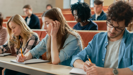 In the Classroom Multi Ethnic Students Listening to a Lecturer and Writing in Notebooks. Smart Young People Study at the College.