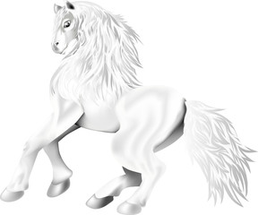 Naklejka na ściany i meble galloping horse of white color 