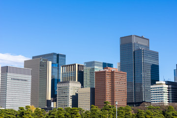 Fototapeta premium 大手町、丸の内オフィスビル群