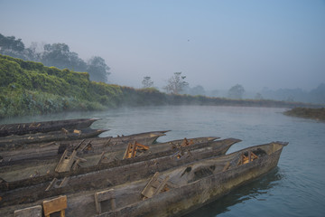 Naklejka premium Chitwan Reserve in Nepal.