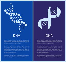 DNA Set of White Spirals Isolated on Blue Backdrop