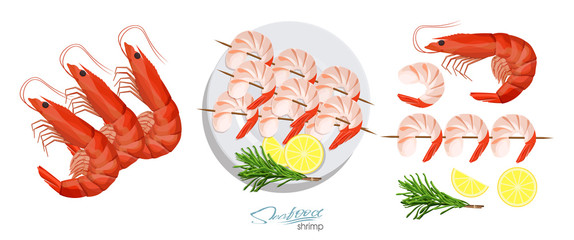 Shrimps on a skewer with rosemary and lemon on the plate. Shrimp isolated on white background. Vector illustrationin cartoon style. Shrimps, lemon, rosemary separately on a white background.