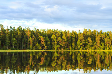 quiet evening on the lake in the woods