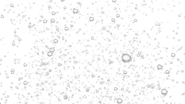 water bubbles rising foam white background